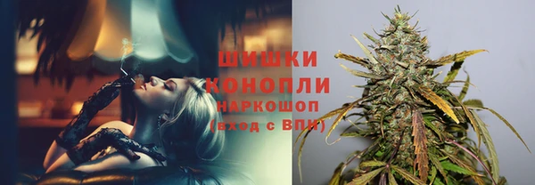 дмт Пестово