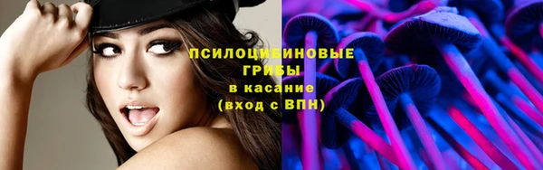 прущие грибы Переславль-Залесский