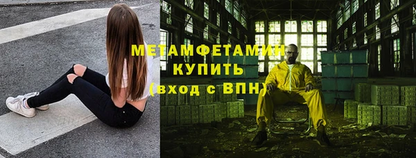 прущие грибы Переславль-Залесский