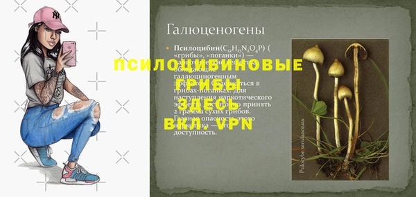 гашик Покачи