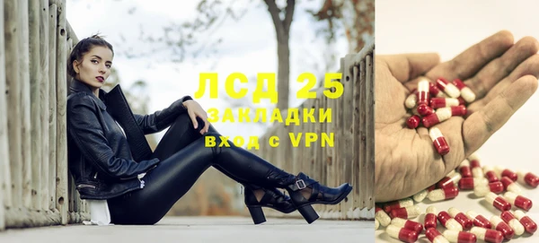 дмт Пестово
