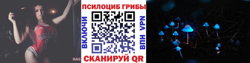 Галлюциногенные грибы Magic Shrooms  как найти наркотики  Бодайбо 
